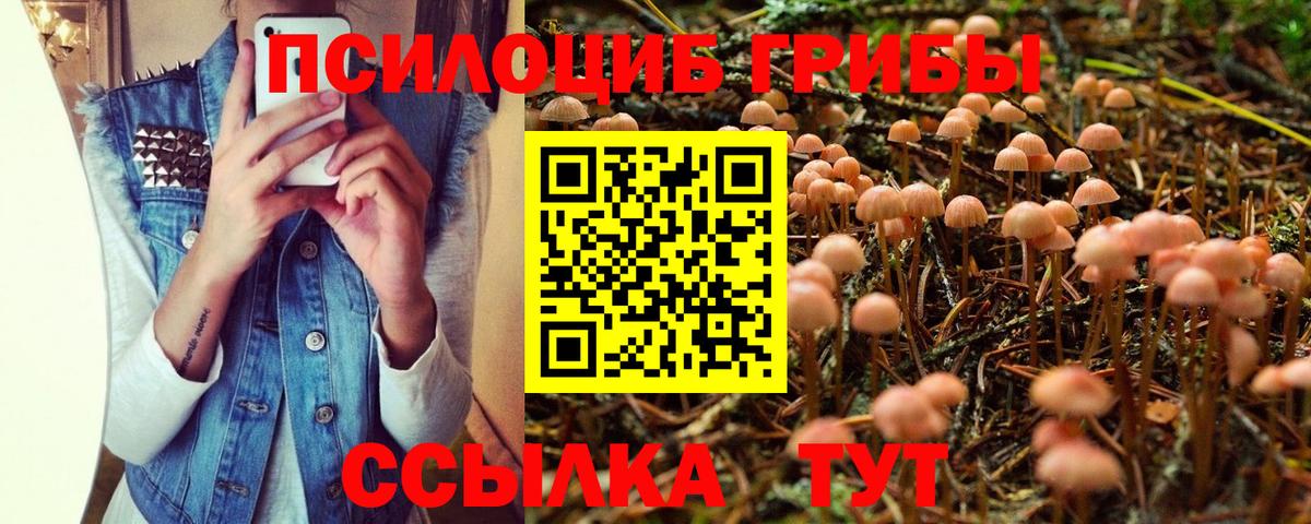 Галлюциногенные грибы прущие грибы Дзержинский