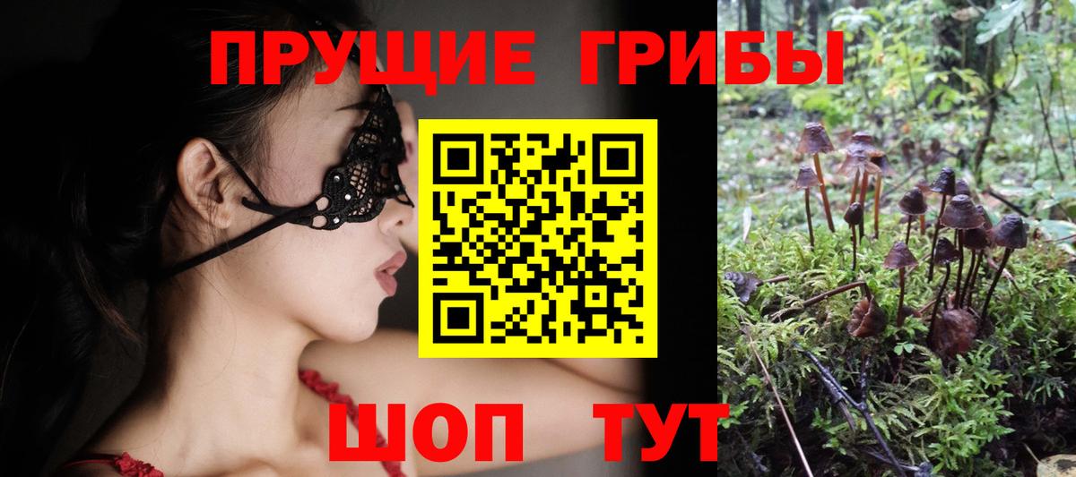 Дзержинский  Галлюциногенные грибы MAGIC MUSHROOMS  Вход с VPN 